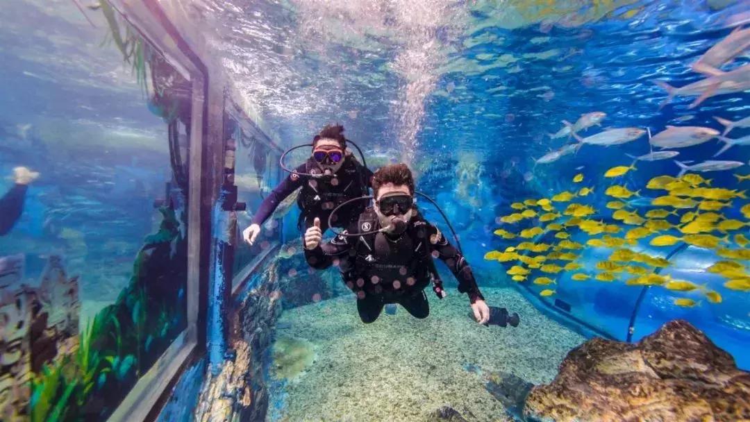 150000m²!天津欢乐谷的玛雅海滩水公园,真是太好玩了