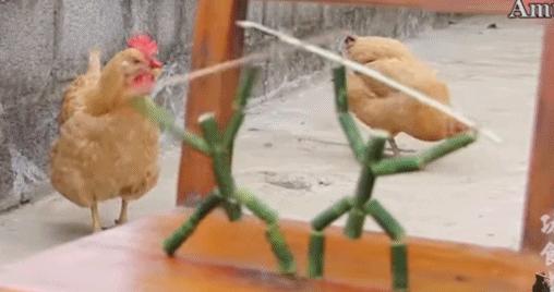 近日李子柒视频走红,李子柒爷爷最火视频