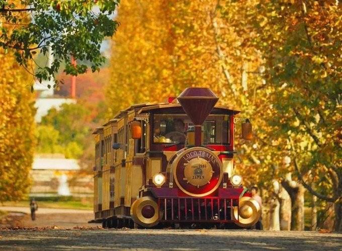 和大家一样去了大阪，但我不想随波逐流