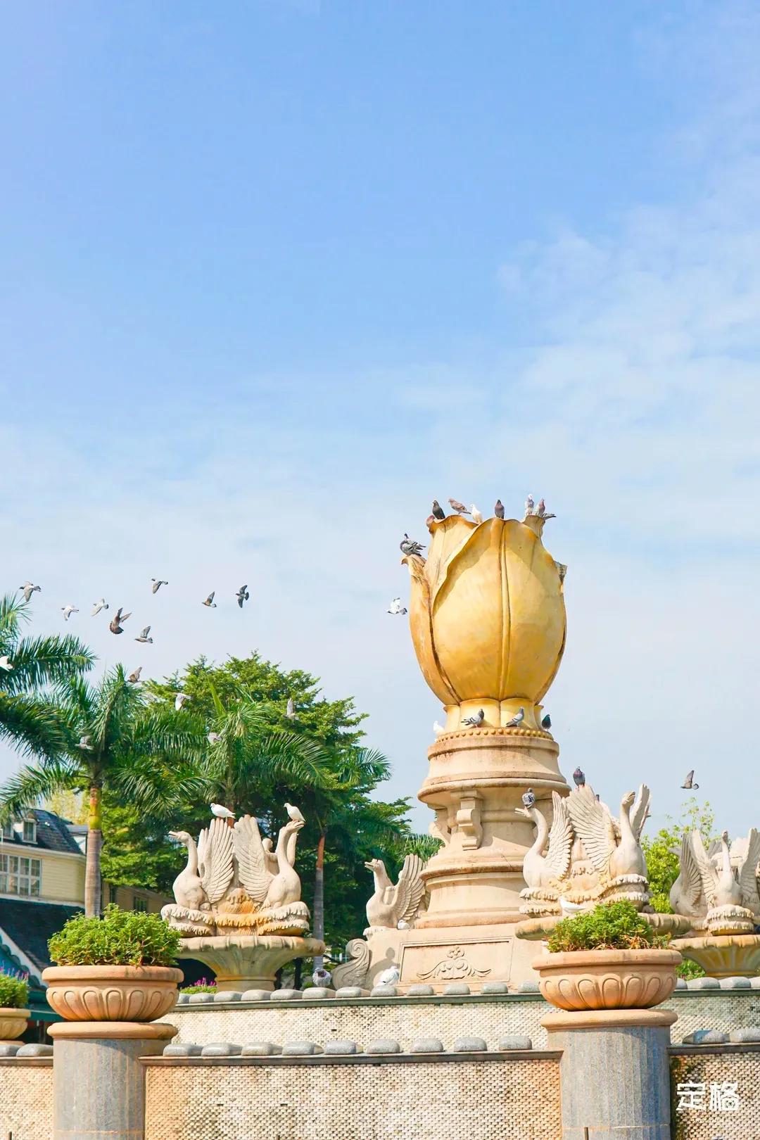 深圳周末打卡地点排行榜,深圳秋季打卡攻略