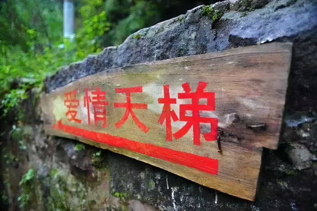 重庆小伙带29岁寡妇隐居深山50年,29岁寡妇跟19岁小伙私奔隐居深山