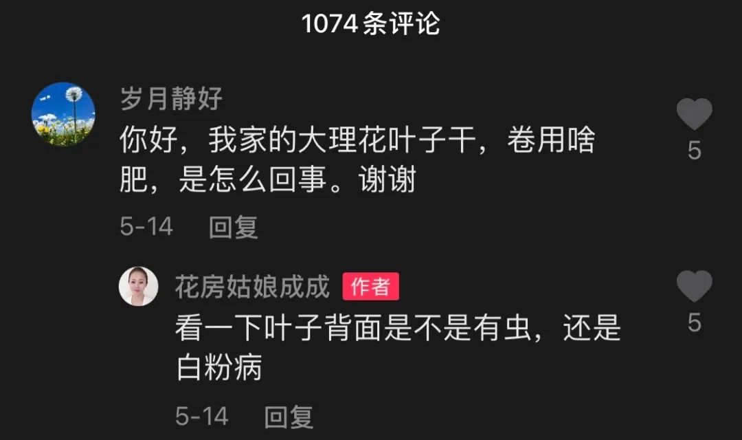 沉迷“花花世界”的41岁妈妈，她凭什么活得那么爽？