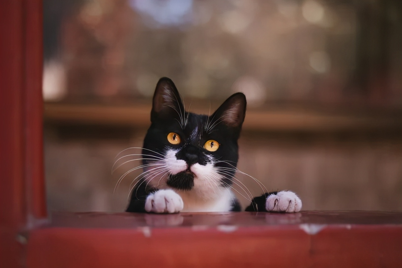 连用90天，拍摄近千G。EOSR5发布三个月后的使用报告