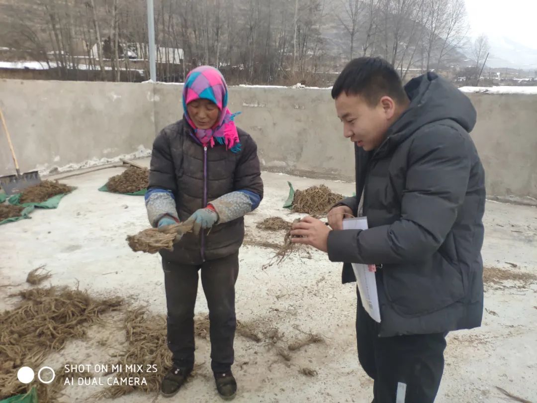 漳州漳县大棚电商,漳州市漳县电商网点
