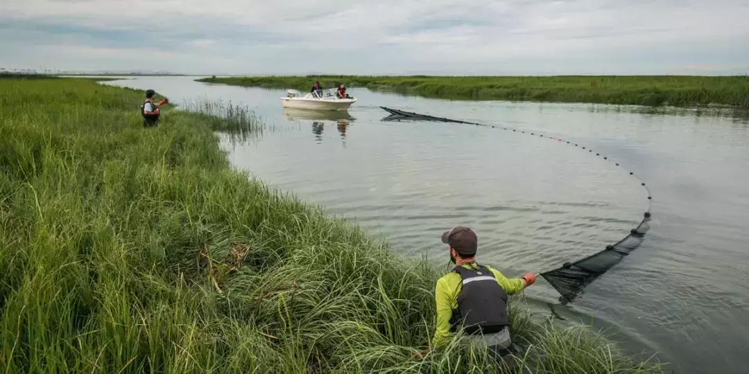 温哥华，超出你期待的钓鱼圣地