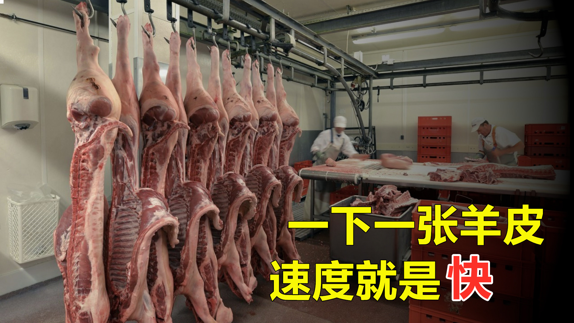 全自动杀羊,杀羊正常吗