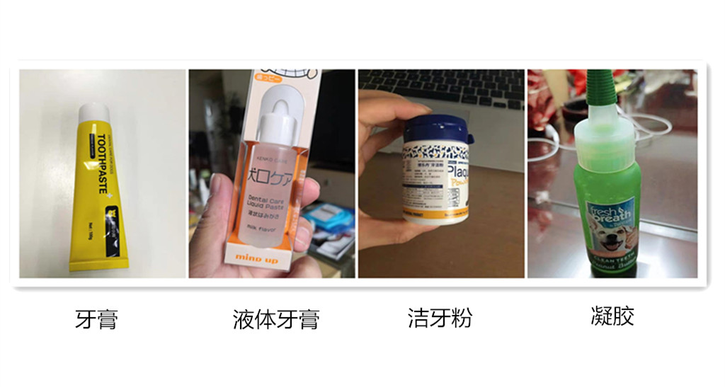 狗狗得了牙结石,狗狗得牙结石会有什么危害