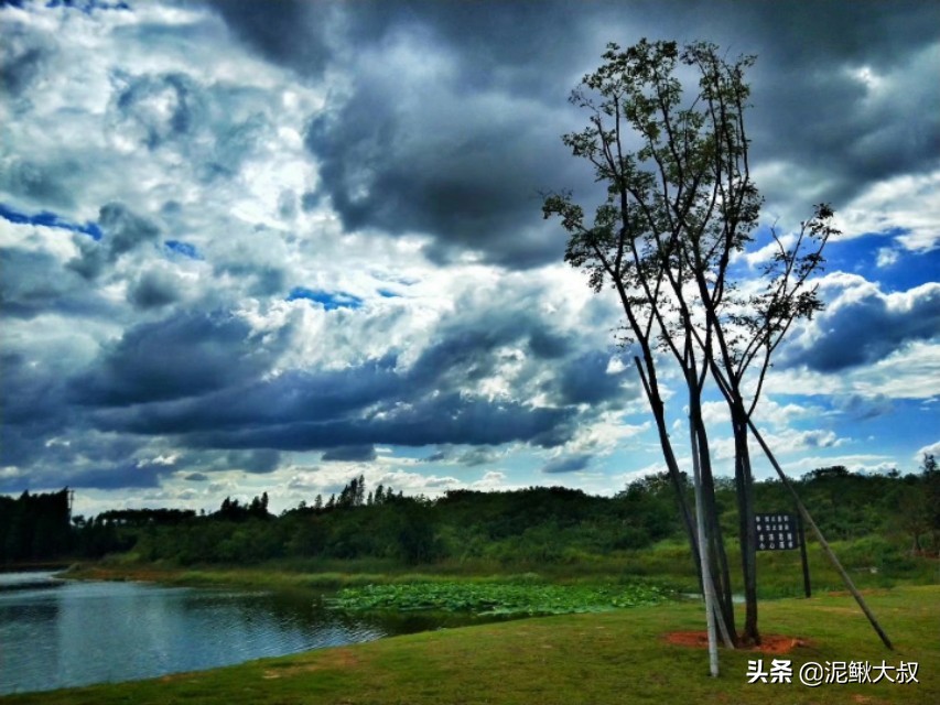 金义都市新区招聘,金义都市新区未来5年规划