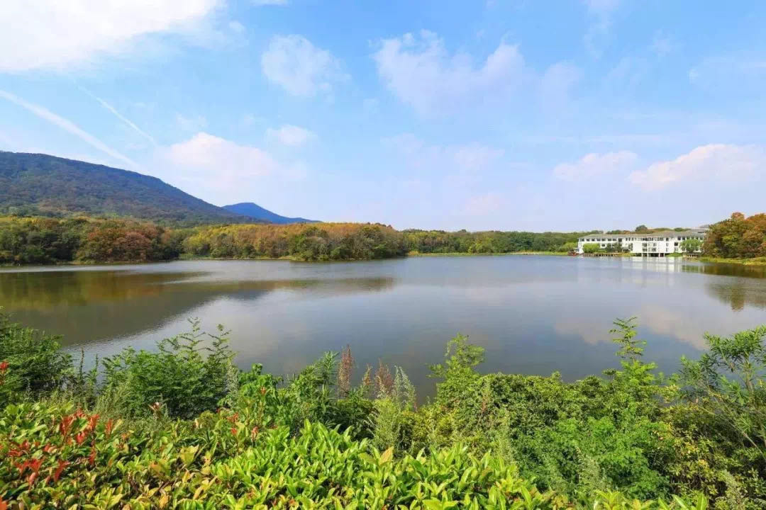 体验南京紫金山庄,冬天的南京紫金山庄