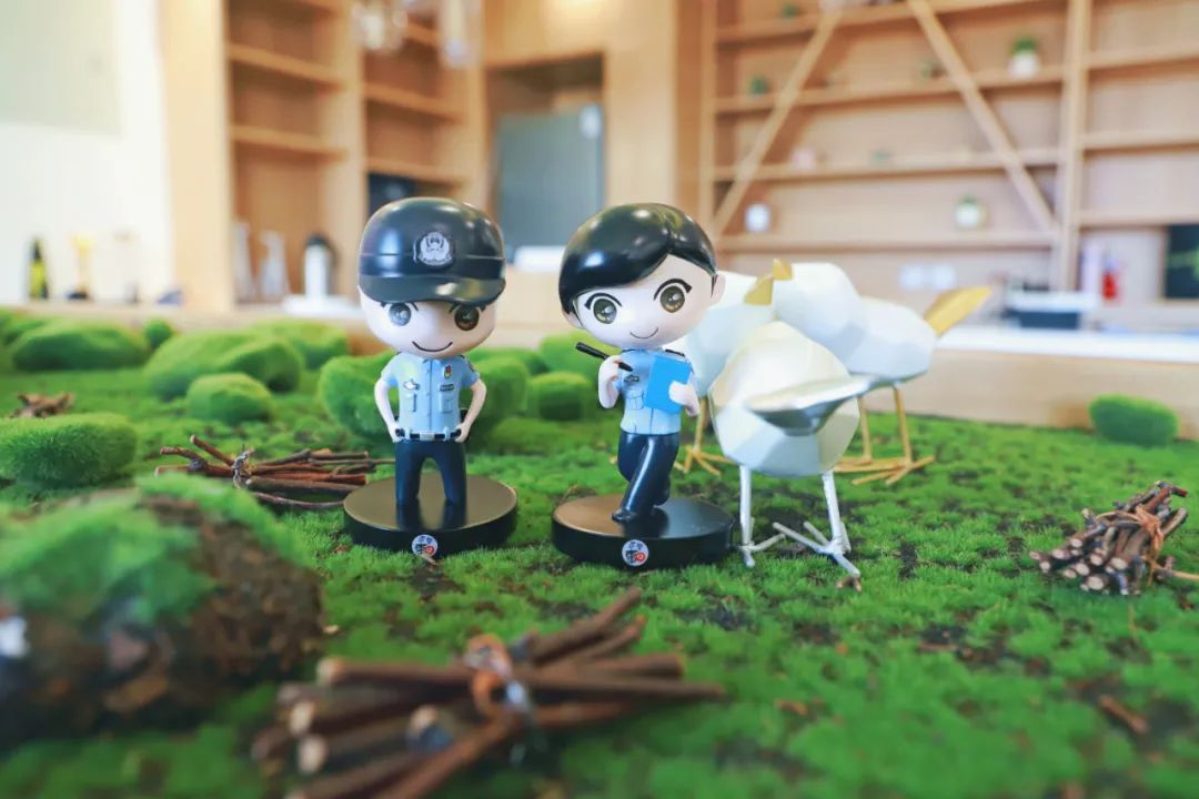 很高兴遇见你完整版,很高兴遇见你直播间