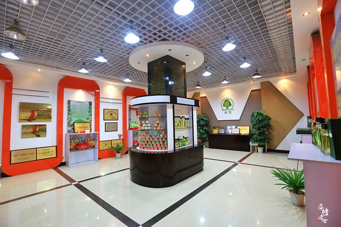 赞皇核桃树苗圃基地,河北野山上哪里有野生核桃树