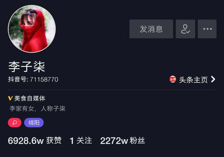 李子柒的田园生活,李子柒的田园牧歌