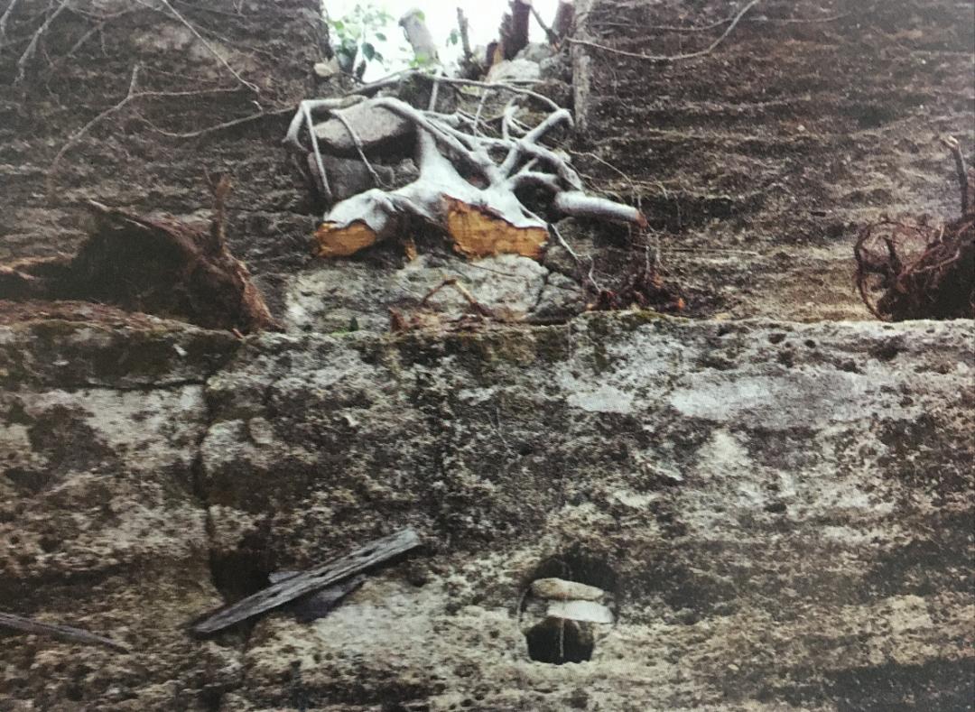 建市40周年成就,经济特区40周年繁荣城市视频