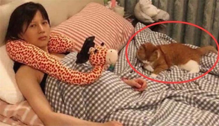 papi酱晒孕肚照,papi酱的猫咪哪来的