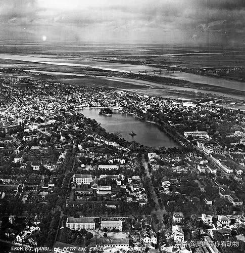 斑鳖即将灭绝人工克隆,全球仅剩3只斑鳖