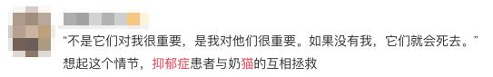 医生建议养猫治愈抑郁症,抑郁症养猫还是养狗好
