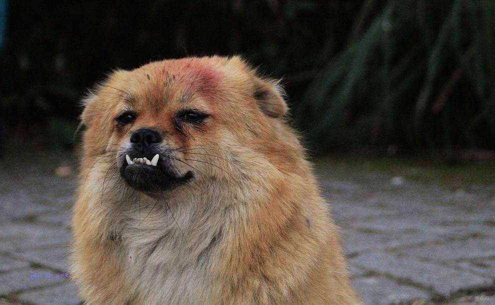 小孩地包天平时注意什么,一岁半地包天初期干预的最好方法