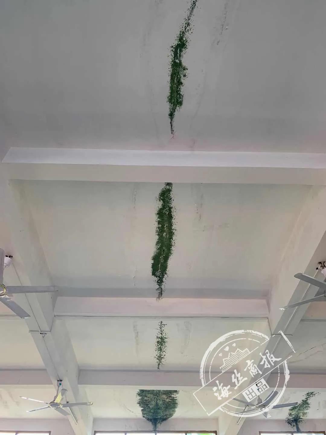 南安这所中学拆除5层高危房，欲建师生合一宿舍楼！初一初二以后也能晚自修了