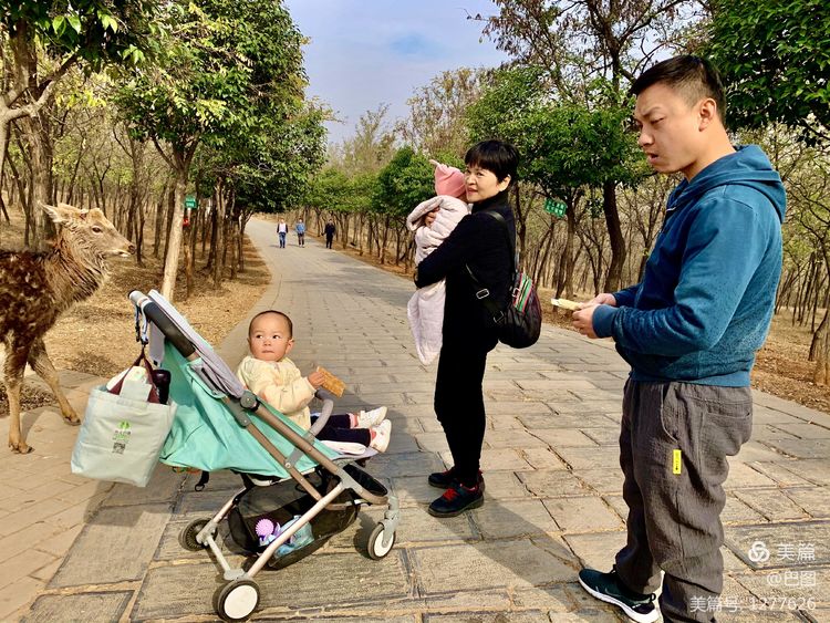 洛阳市宜阳凤凰岭射箭,宜阳县凤凰岭体育基地