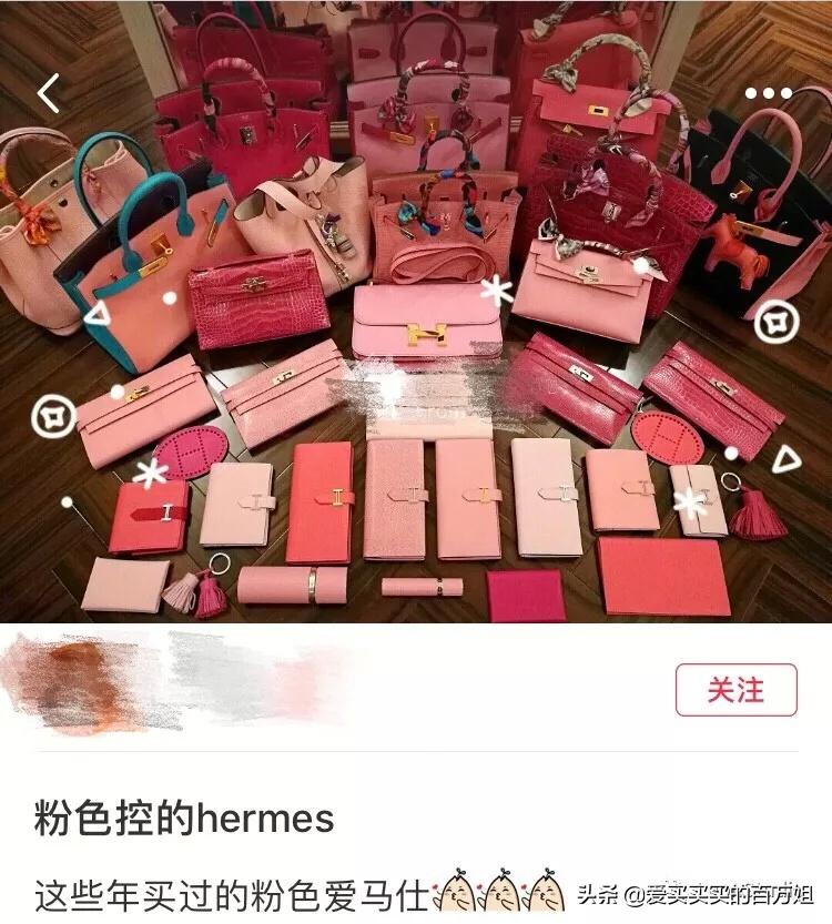 爱马仕白富美,十大漂亮爱马仕