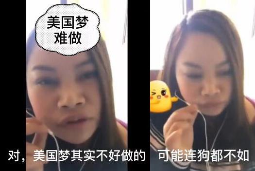 网红凤姐最近事件,网红鼻祖凤姐历历在目