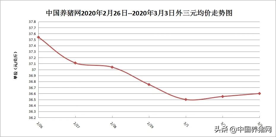 小散可以分到红利吗,小散到底怎么赚钱