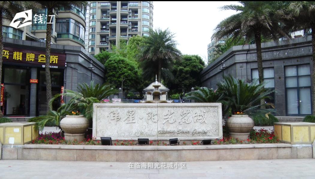 浙江宁波伟星新闻,伟星新闻联播