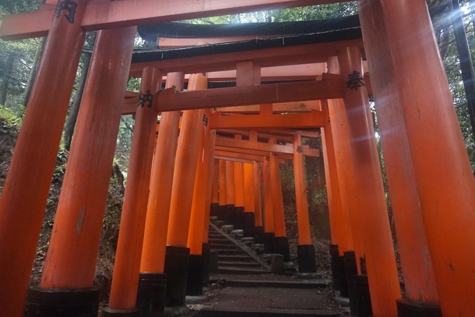 大阪蹦迪酒吧,京都大阪烧