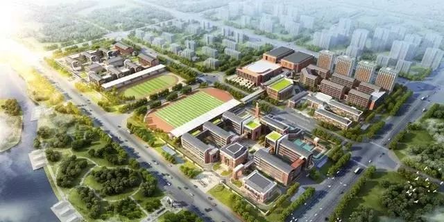 请回答郑州青年,请回答1988完整视频