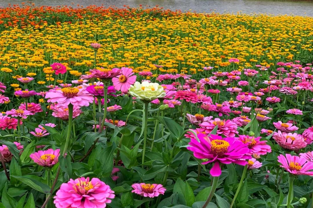 龙岩的美不用多说，6个B就可以形容