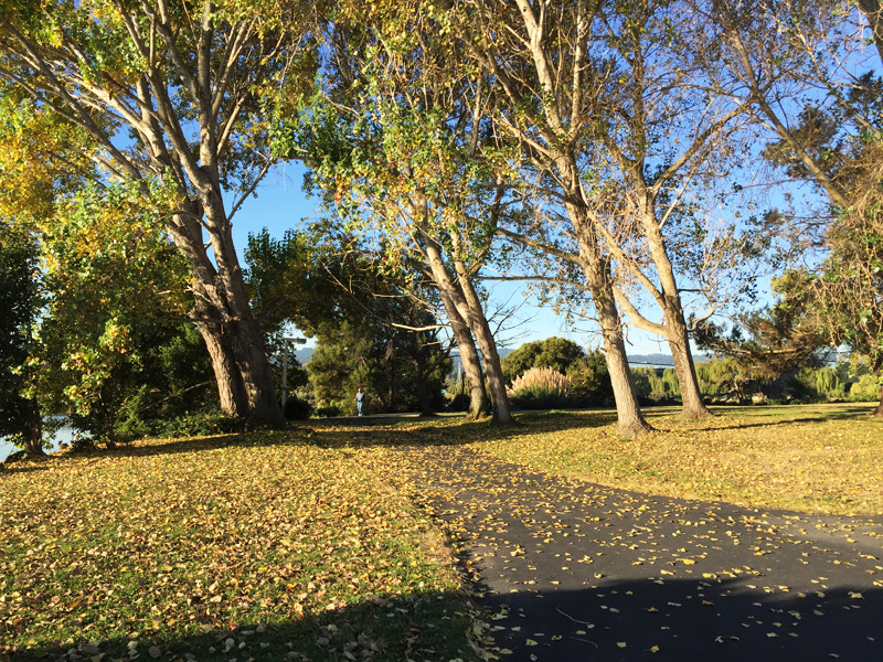 美国旧金山市规划,美国旧金山公园