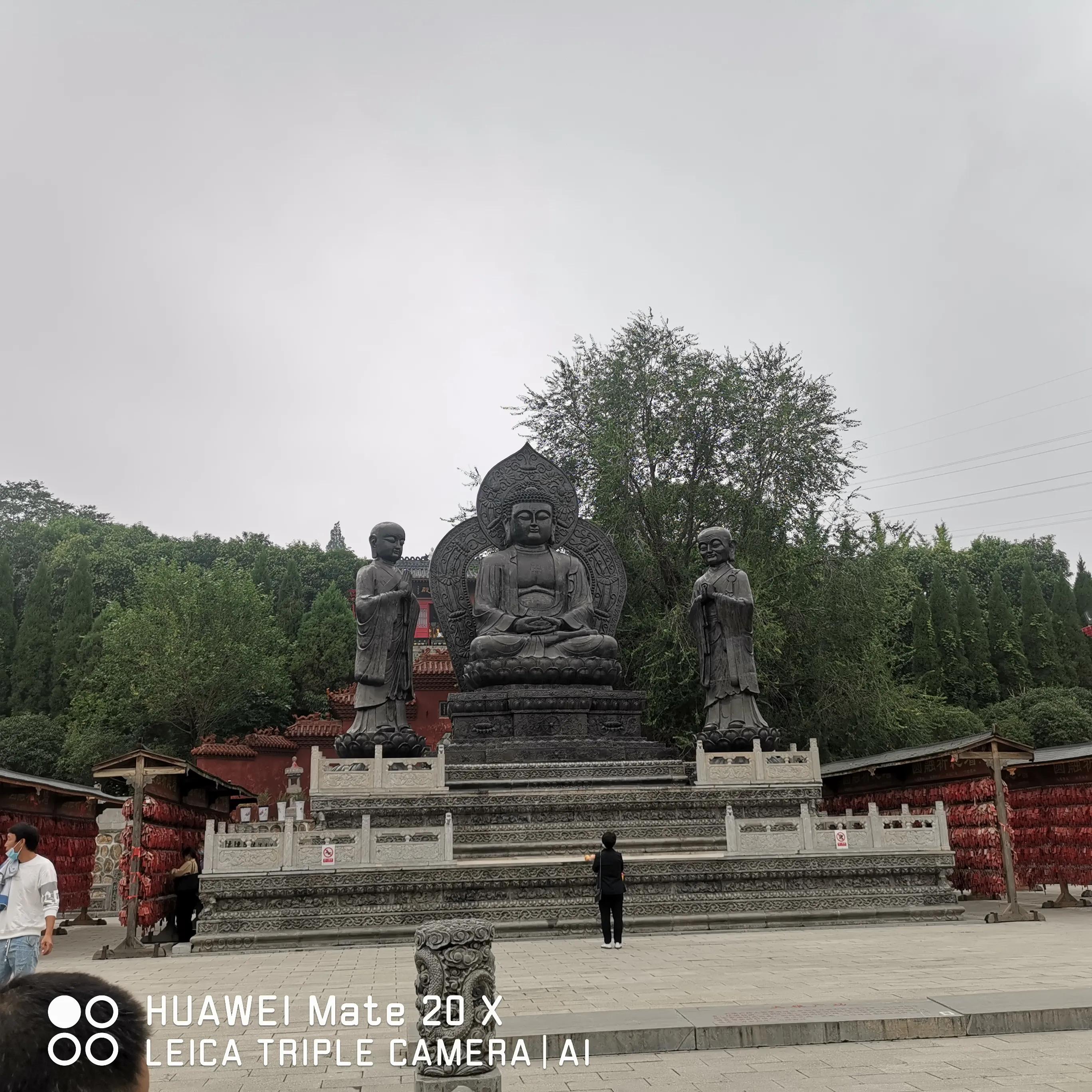 17.我的被离职道路(记如何被单位套路的血泪史过程)