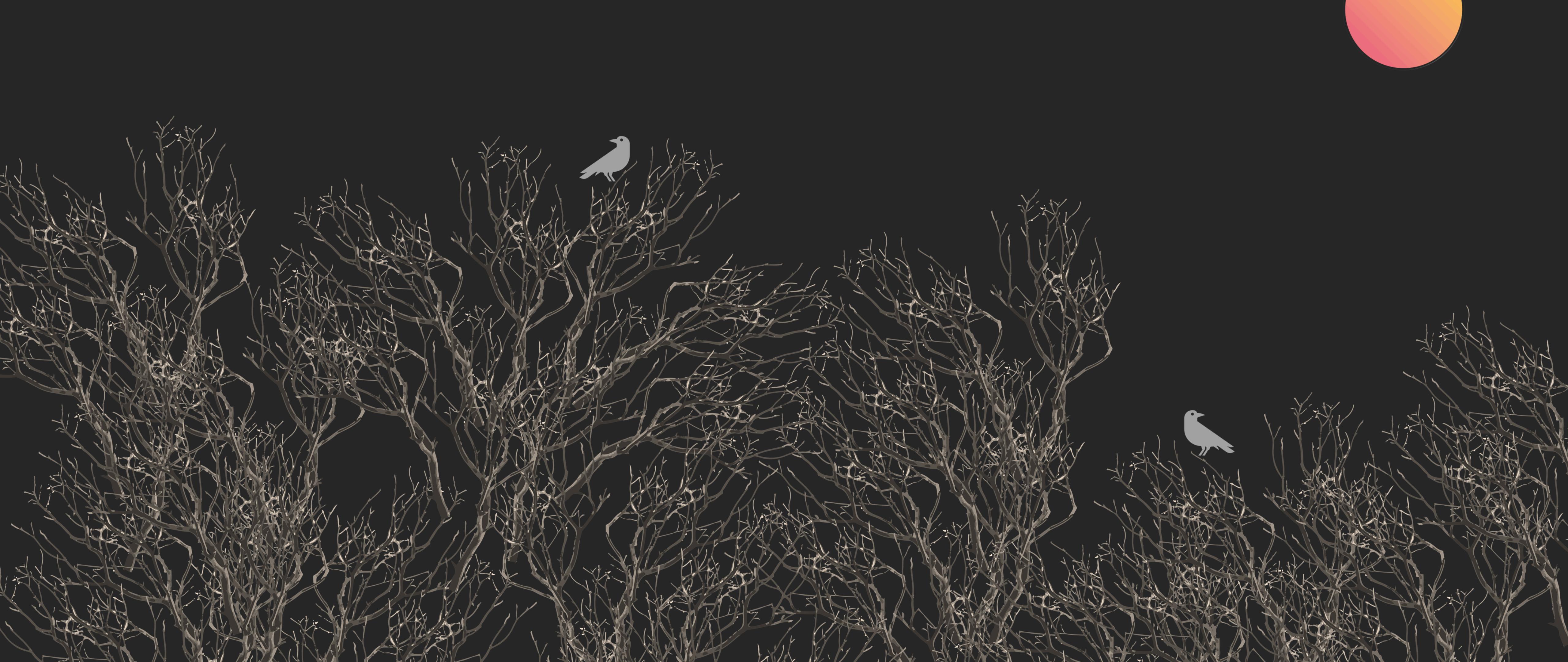 电脑桌面壁纸宇宙级震撼,电脑桌面壁纸3d视觉效果很酷的