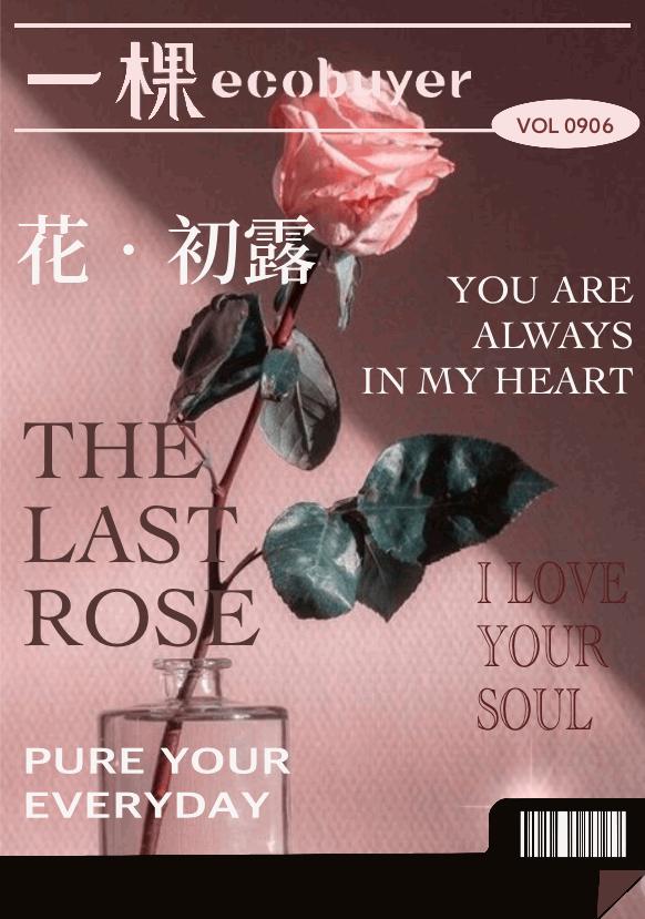 今日份温柔情话,今日份温柔与浪漫