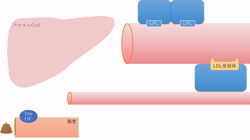 为什么医生说胆固醇高反而是好事,胆固醇太高会引起什么后果啊