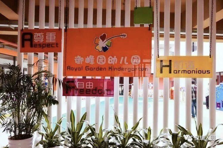 深圳公办幼儿园上不了怎么办,深圳幼儿园停止办学吗