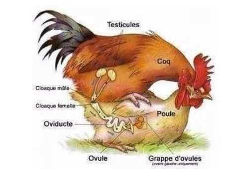 有哪些非常冷门的冷知识,那些非常冷门但实用的冷知识