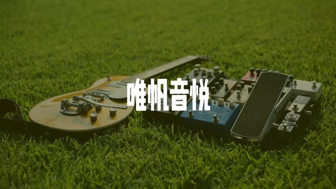 VFinex蛮蛮鸟|云间游走，归于自然