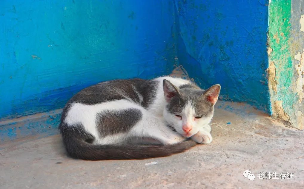 地震求生与自救技巧,生存狂在野外怎么逃生