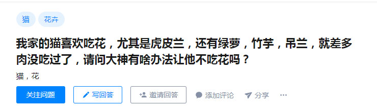 家里养花可以养狗吗,养猫家里不能养哪些花草