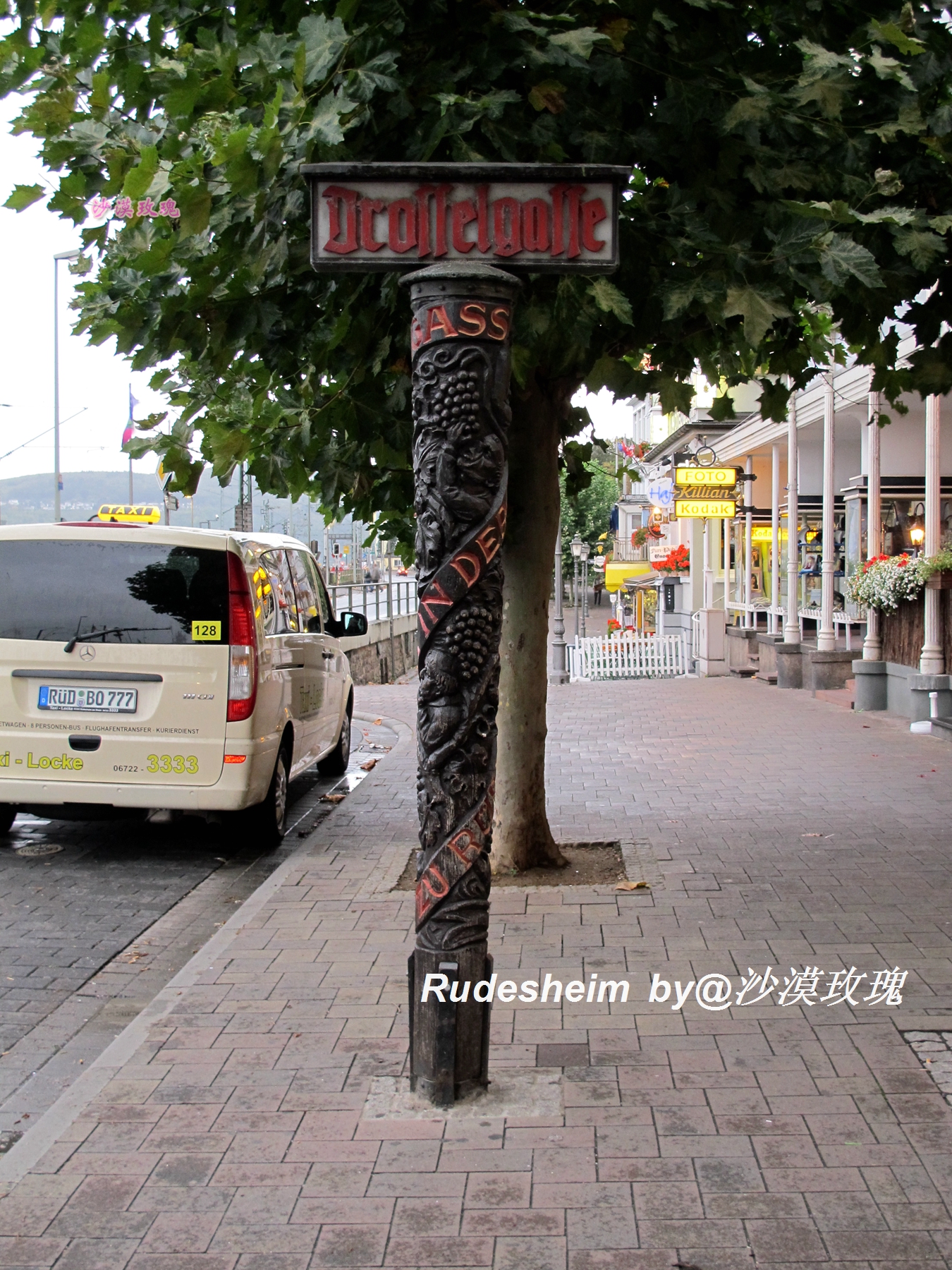 莱茵河葡萄酒小镇,莱茵河畔的葡萄小镇