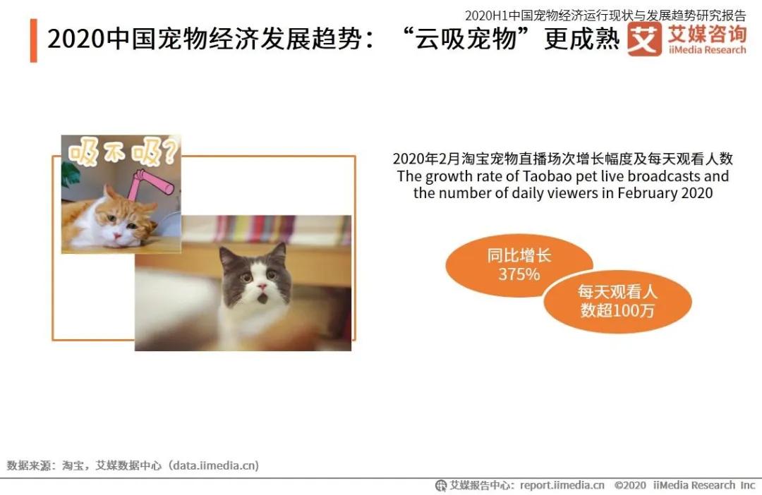 云养殖:喂鸡、种花、养老虎,2020直播电商新风口