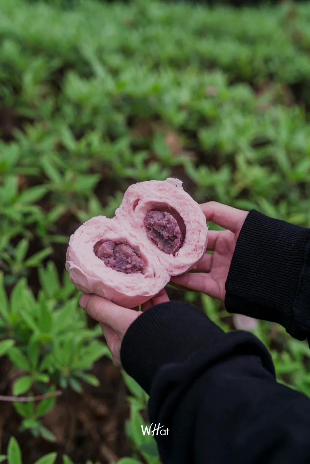 便利店网红爆款前十,网红便利店推荐