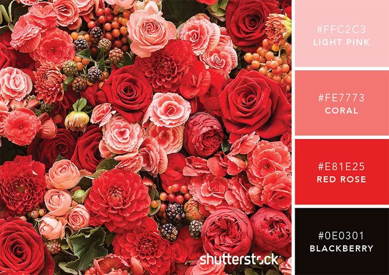 色彩搭配个人形象设计,色彩搭配都是业主亲自选择