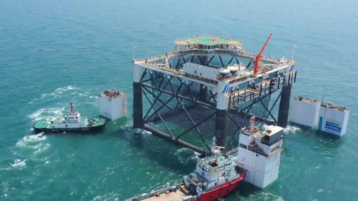 一次养鱼1000吨，中国在渤海建“亚洲最大鱼塘”，首次收网大丰收