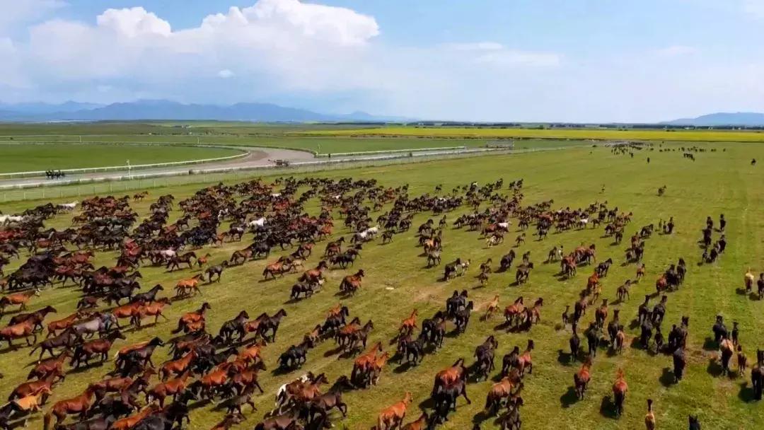 这就是昭苏,万物复苏的地方