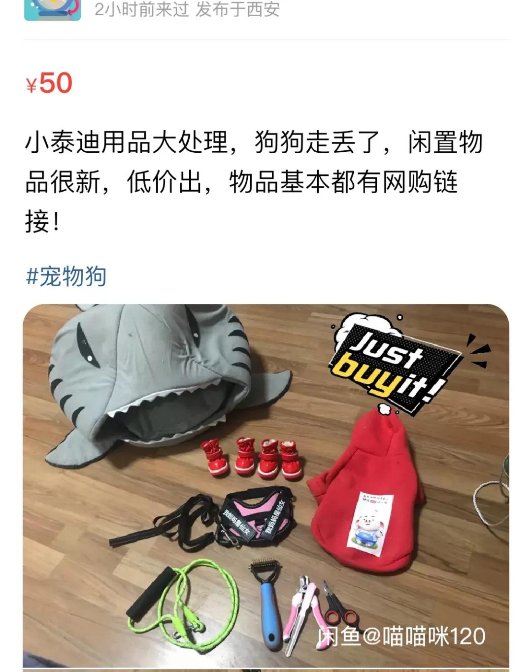 后浪闲鱼电商,后浪现在的直播