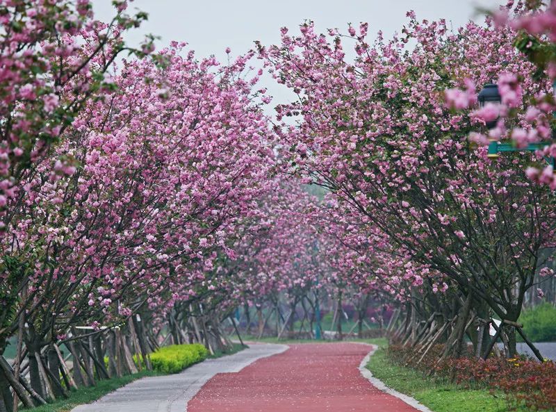 为什么说读懂红楼梦就读懂了人生,为什么说读懂了春秋就懂了当下