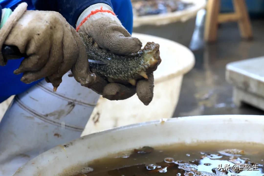 药店买到假燕窝怎么罚,卖假燕窝属于什么