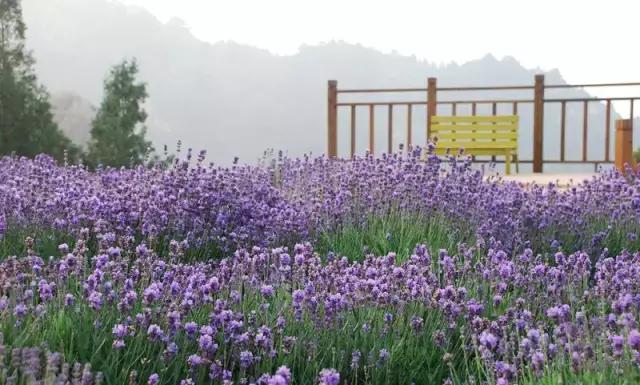 国内野奢酒店民宿排名榜,国内30家顶级野奢酒店